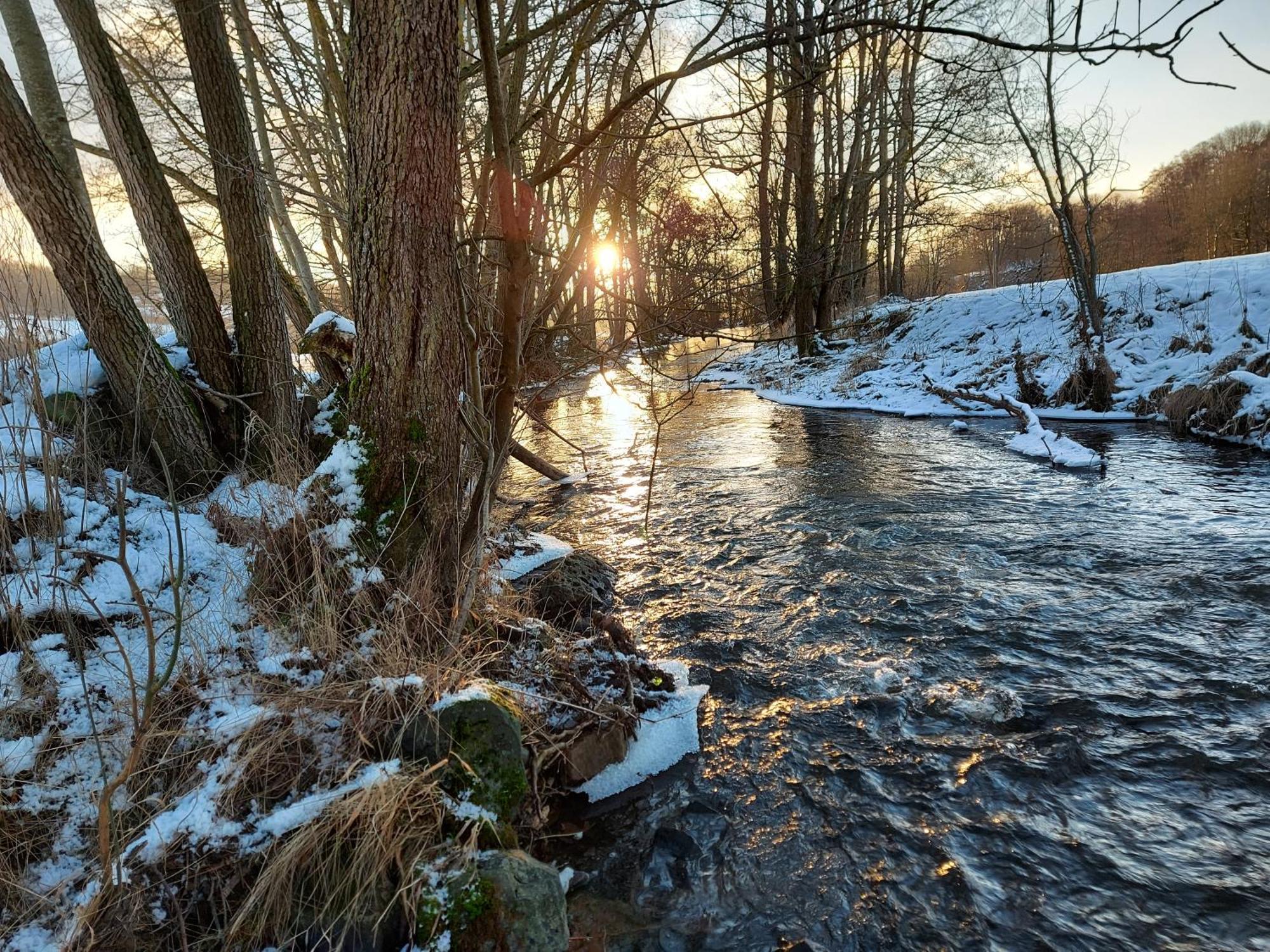 Gaestehaus Hochrhoenblick Schönau an der Brend Zewnętrze zdjęcie