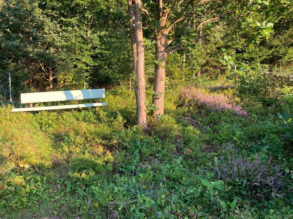 Gaestehaus Hochrhoenblick Schönau an der Brend Zewnętrze zdjęcie