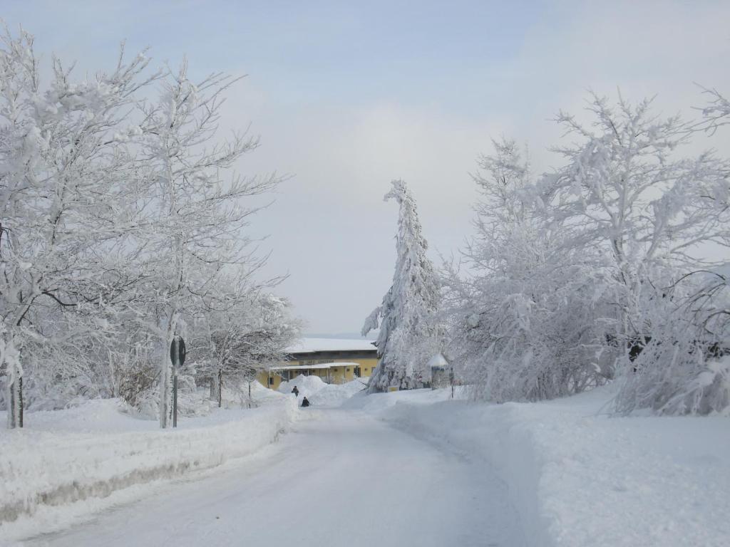 Gaestehaus Hochrhoenblick Schönau an der Brend Zewnętrze zdjęcie